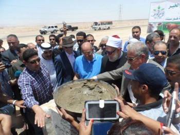 أ.د علي جمعة يضع حجر الأساس لأول مزرعة نموذجية لتسمين الأبقار